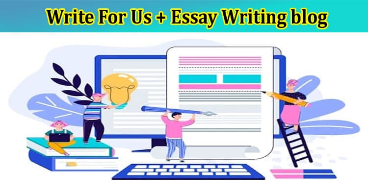 Write for Us + Essay Writing Blog – A Detailed Guide!