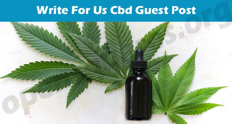 Write For Us Cbd Guest Post: Why It Is Useful In This Year