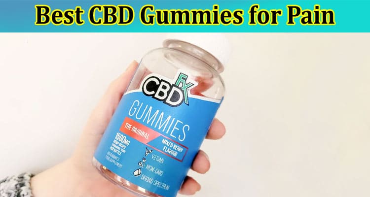 Best CBD Gummies for Pain: 2023 Buyer’s Guide