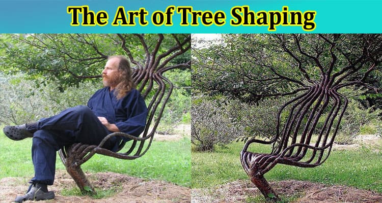The Art of Tree Shaping: Unleashing Your Creative Side