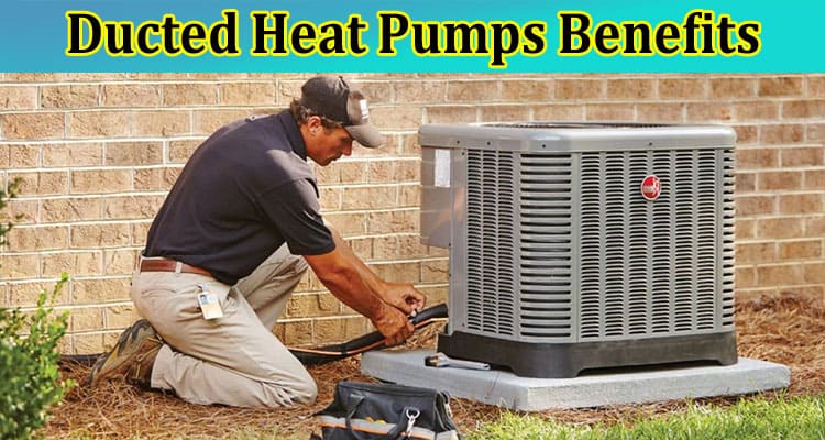 The Ultimate Guide to Ducted Heat Pumps Benefits, Installation and Maintenance