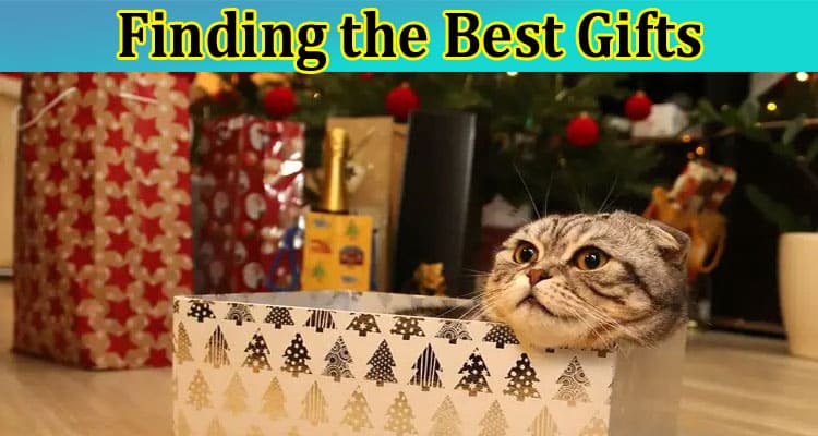 Finding the Best Gifts: Special Presents for Cat Lovers