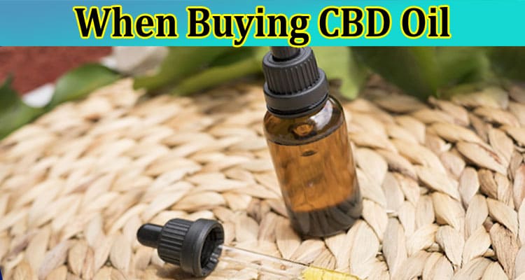  6 Things You Should Look for When Buying CBD Oil