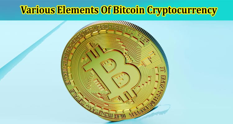 Understanding The Various Elements Of Bitcoin Cryptocurrency