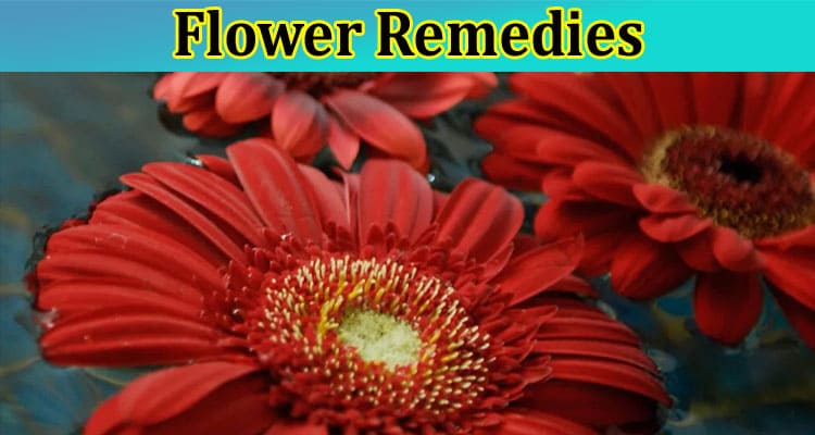 What Are Flower Remedies Used For?