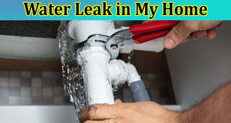 What Should I Do if I Have a Water Leak in My Home?